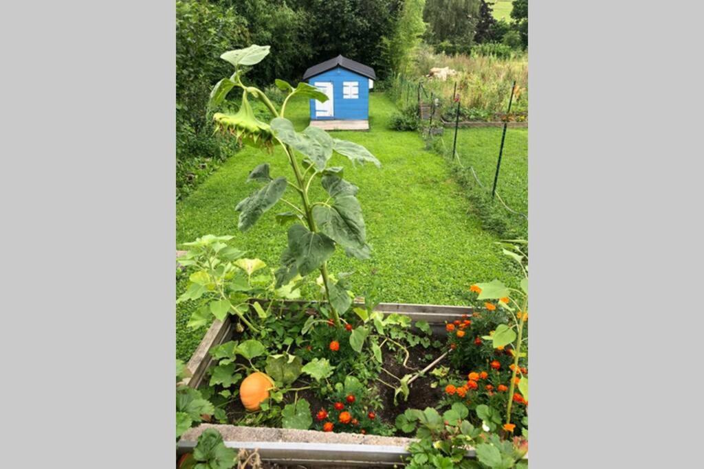 Maison Au Coeur Du Vignoble Jurassien 90 M2 Lavigny ภายนอก รูปภาพ