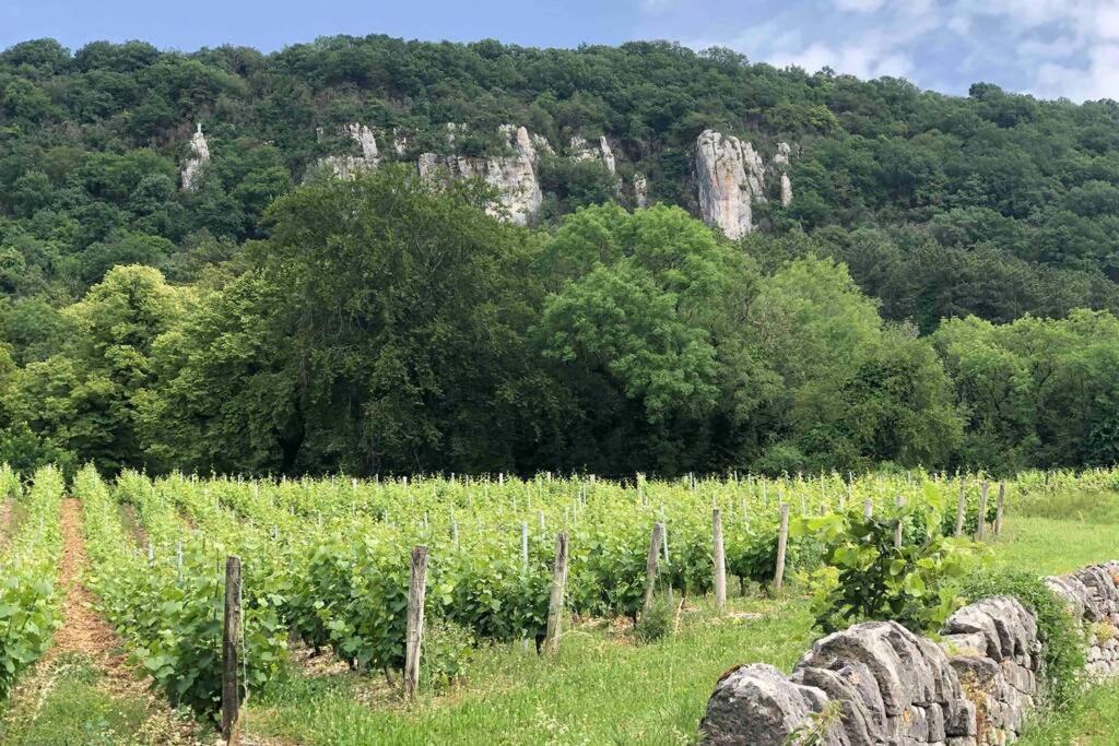 Maison Au Coeur Du Vignoble Jurassien 90 M2 Lavigny ภายนอก รูปภาพ